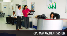 Web Designing Sydney